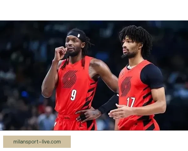 从杨瀚森学到的中文词汇与阿夫迪亚乐福之间的精彩对话分析